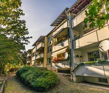 Demnächst frei! 2-Zimmer-Wohnung in Grünstadt - Photo 2