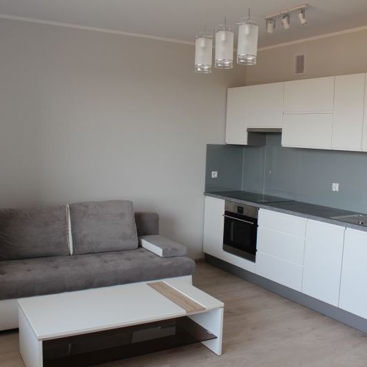 Mieszkanie na wynajem – Ostrów Wielkopolski, złota 13m - Zdjęcie 1