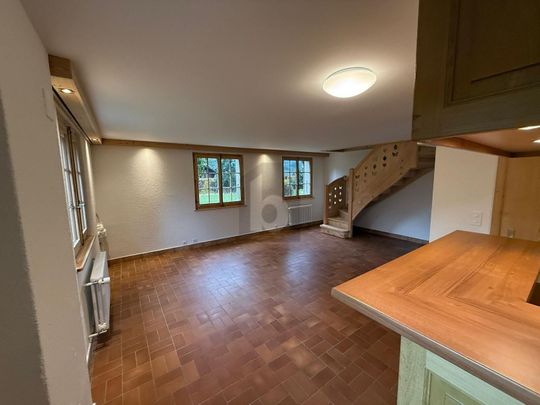 DUPLEX DANS CHALET AVEC GRAND JARDIN - Foto 1