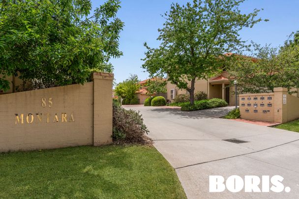 1/85 Lampard Street, Bruce ACT 2617 - Townhouse For Rent | Domain - Photo 1