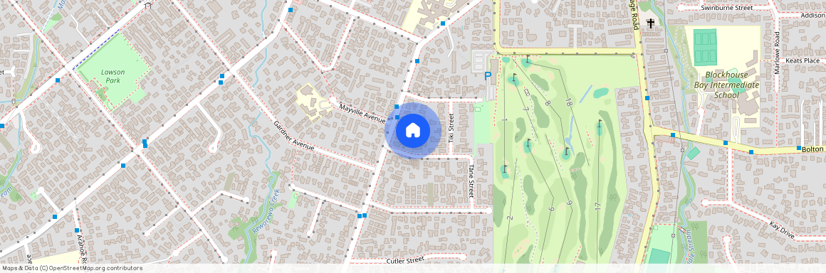 100C Astley Avenue, Auckland Metro, New Lynn