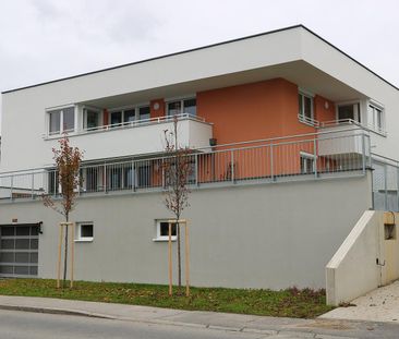 606 - Foto 2