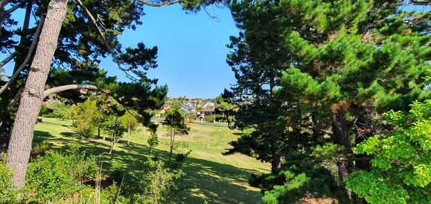 Family Home - Spacious, Sunny and Serene - Photo 1