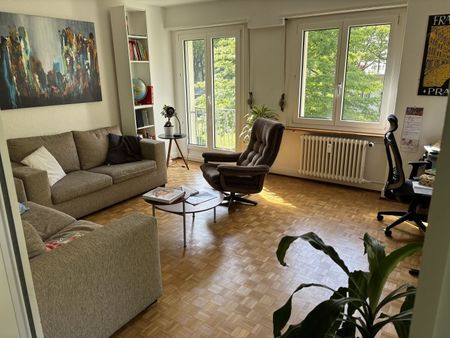 4-ROOM APARTMENT IN BERN - BREITENRAIN, FURNISHED, TEMPORARY - Photo 4