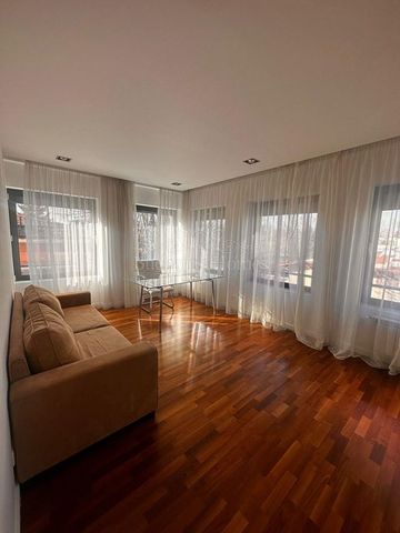 Large Four Bedroom Apartment with Pool - Kiseleff - Photo 2