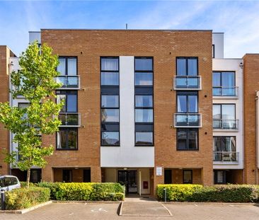 Well presented 1 bedroom apartment for rent in situated within walk... - Photo 2