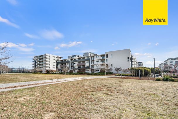 12/17 Limburg Way, Greenway ACT 2900 - Apartment For Rent | Domain - Photo 1