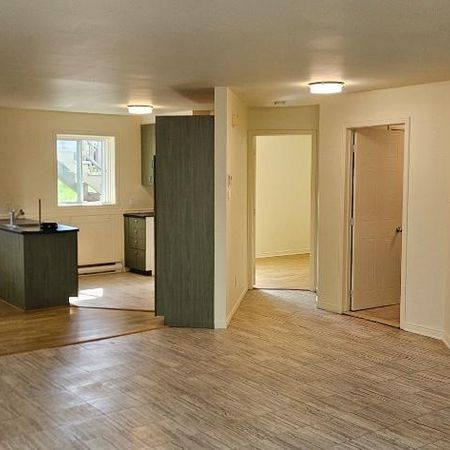 MT GABRIEL 41/2 foyer.tranquil privé - Photo 4