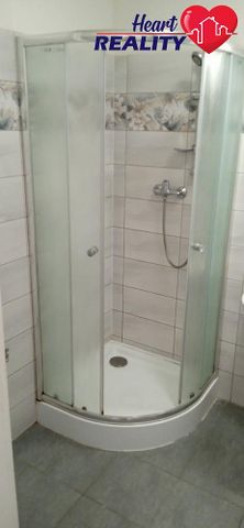 Pronájem bytu 2+1 66 m² - Fotografie 3