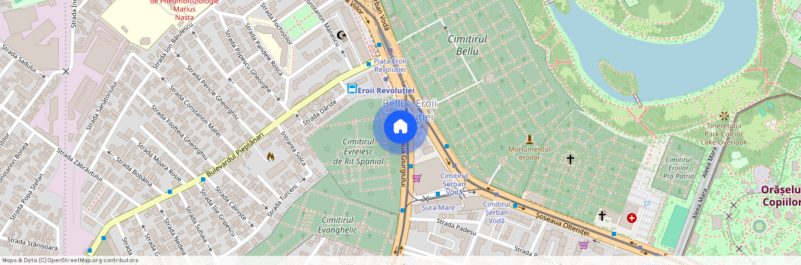 Bucuresti-Ilfov, Bucuresti