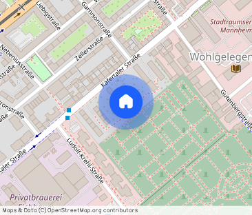 3 ZKB in der Käfertaler Str. 206a im 3. Obergeschoss Whg.12 - Foto 1