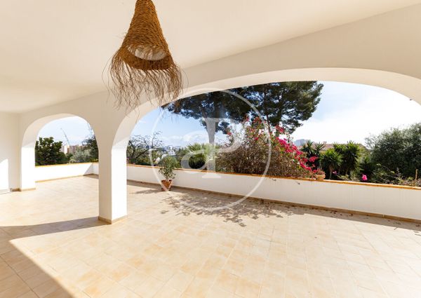 Ground floor apartment for rent in Palmanova