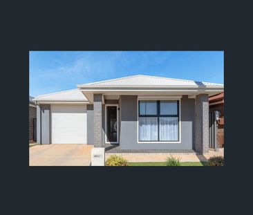 7 Heddle Street, Smithfield Plains, SA 5114 - Photo 4