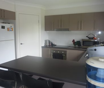19 Riley Peter Place, Cleveland QLD 4163 - House For Rent | Domain - Photo 1