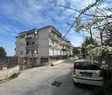 Trilocale in affitto - Photo 4