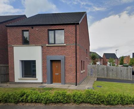 Broighter Gardens, Limavady, BT49 0GH - Photo 4