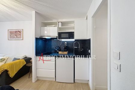 Location Appartement 1 pièce 24m² VILLENEUVE LOUBET 06270 - Photo 4