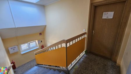 Geförderte Einzimmerwohnung in Zentrumsnähe - Photo 5