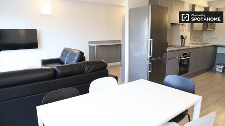 Room for rent in 8-bedroom apartment, Stoneybatter, Dublin - Photo 4