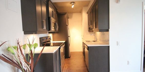 Appartement Montréal (Ville-Marie) À Louer - Photo 3