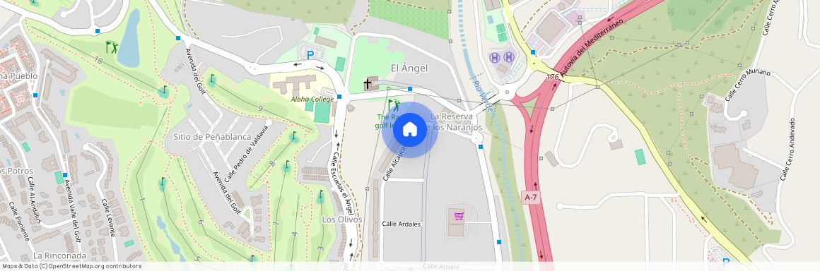 La Dama de Noche-La Alzambra, Marbella