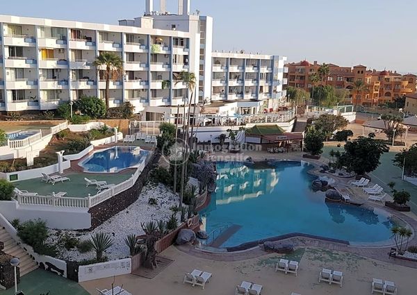 *Rent apartment in Golf del Sur