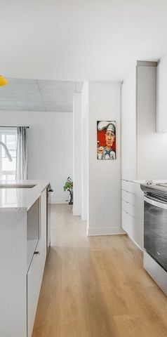 Appartement Mercier/Hochelaga-Maisonneuve (Montréal) À Louer - Photo 1