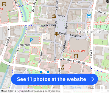 Mieszkanie w stylu paryskim w centrum Rybnika, umeblowane bez prowizji - Photo 1