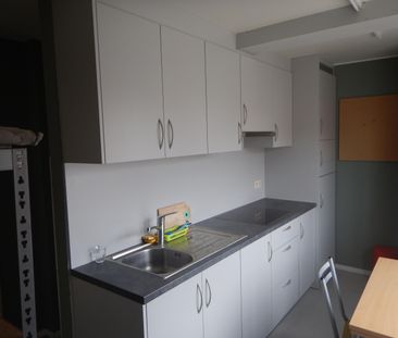 kamer 4 - Lieven Delaruyestraat 31 - foto 1