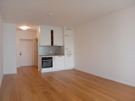 1 Zimmer-Wohnung | 3m² Loggia | Linz-Urfahr - Photo 3
