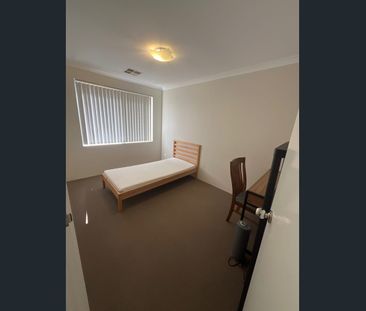 Fantastic Family Home in a Great Location - Photo 5