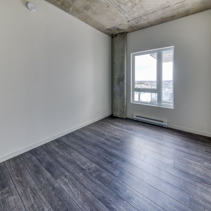Appartement à louer - Lévis (Desjardins) (Lévis) - Photo 1