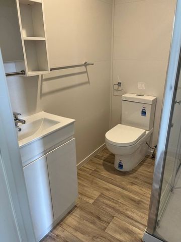 1BD plus studio tiny home Henderson - Pets OK! - Photo 3