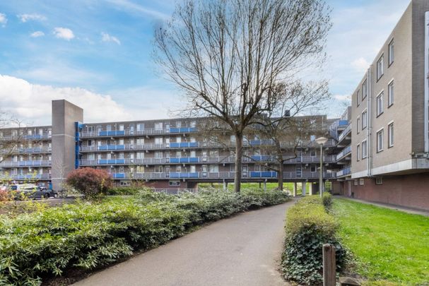 Te huur: Ouvertureweg 219 - Foto 1