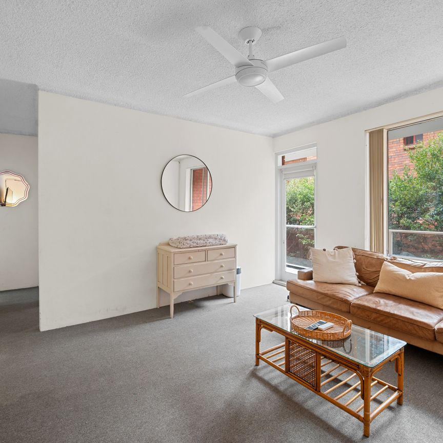 8/7 Richmond Avenue, Dee Why NSW 2099 - House For Rent | Domain - Photo 1