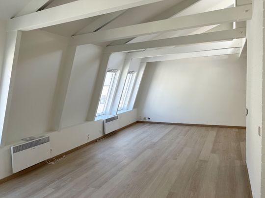 Gerenoveerde studio te huur in centrum Gent - Photo 1