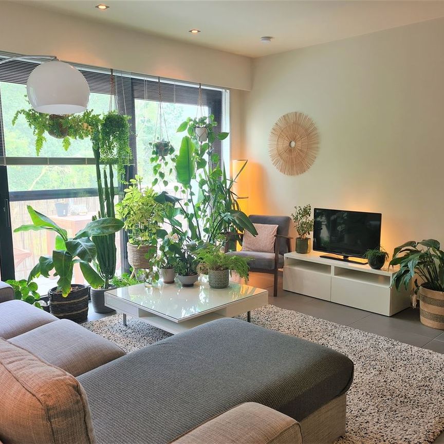 Waterloopstraat 28, 2300, Turnhout - Photo 1