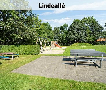 Linde Haven m.fl. 164-0 - Photo 1