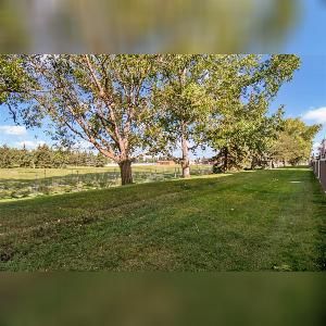 3 Bed 1.5 Bath South Edmonton Townhome with Balcony - Photo 4