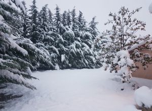 Βίλα για ενοικίαση - Αμφίκλεια, - Photo 5