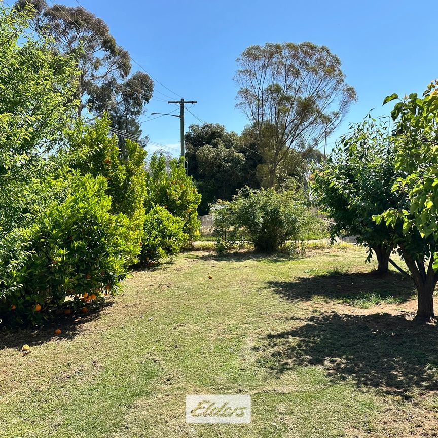 11 Devenport Street, 2717, Dareton Nsw - Photo 1