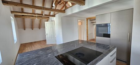 Erstvermietung; Charmante Maisonette-Wohnung mit grosszügiger Terrasse - Photo 3