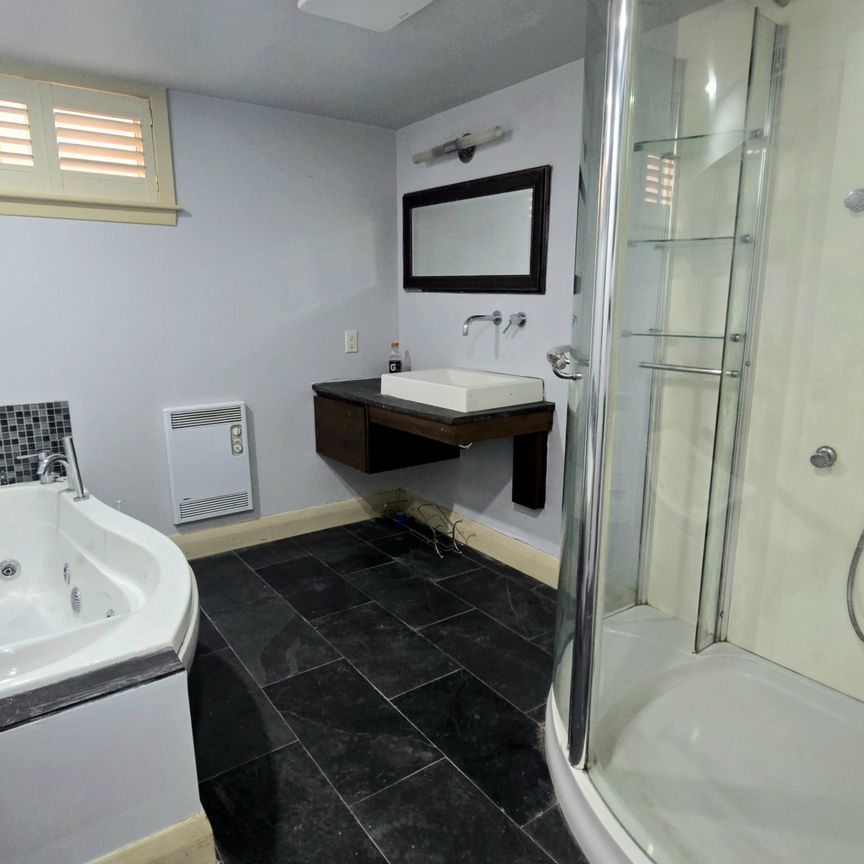 For Lease - 237 Starlight Avenue Unit# Basement Apartment, London East, Ontario - Photo 1