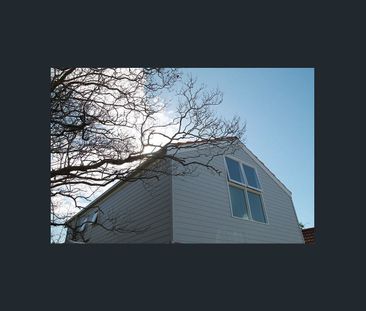 Self contained 1 Bedroom unit close to UNSW - Photo 4