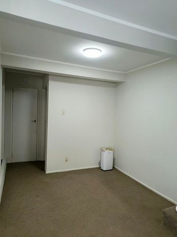 Ready to move in - 1 Bed + Study Unit in St Lukes - Photo 4