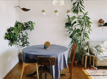 Rua da Liberdade, Almada, Setúbal Municipality 2800-087 - Photo 2