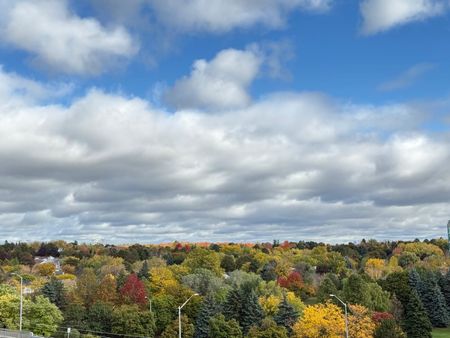 For Lease - 399 Royal Orchard Boulevard Unit# 715, Markham, Ontario - Photo 5