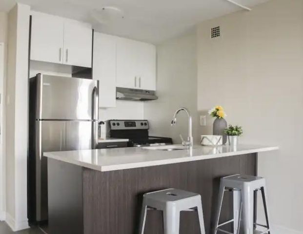 1101 Rachel | 1101 Rue Rachel Est, Montreal - Photo 1