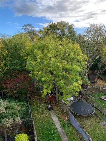 3 Bed Maisonette, Leybridge Court, SE12 - Photo 3