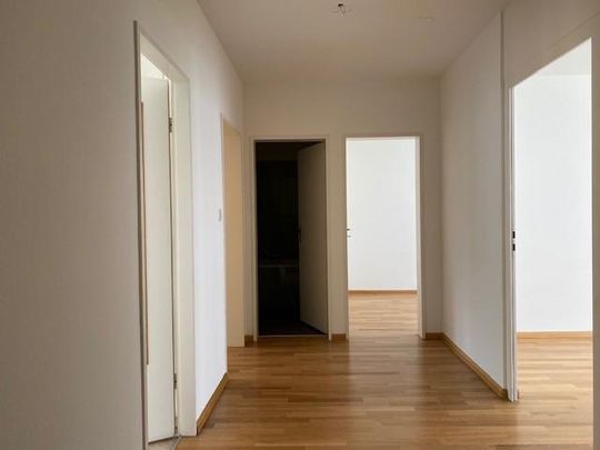 3 Zimmer, 65 m², 2. Stock - Foto 1